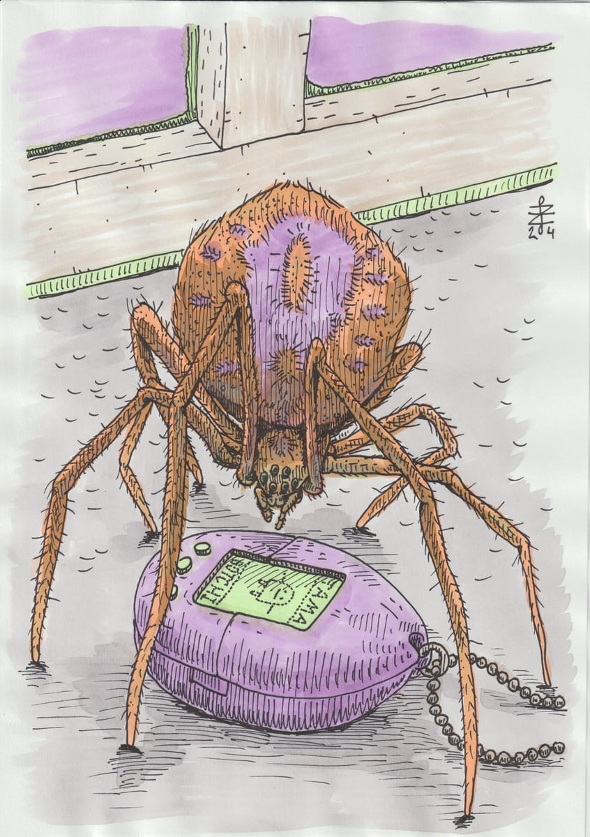 parasteatoda-tepidariorum-playing-with-tamagochi-2024